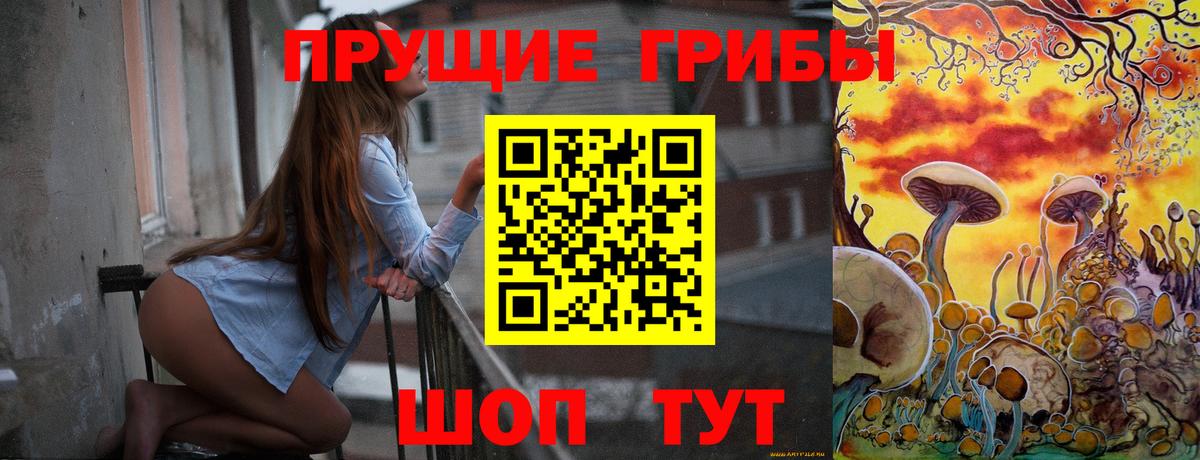 Псилоцибиновые грибы Psilocybe  Вход с VPN  Екатеринбург 